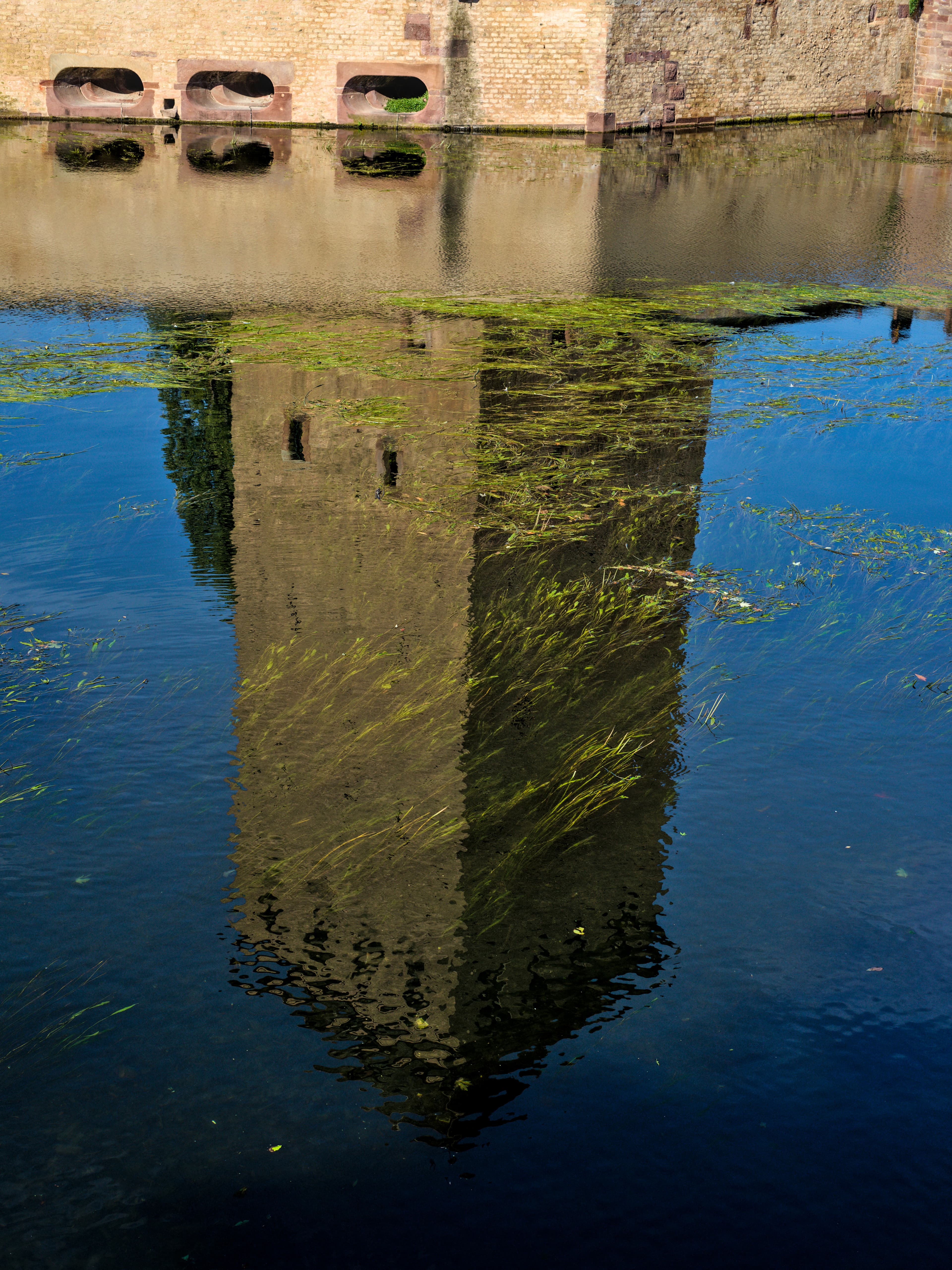DSC00963_4-3.jpg