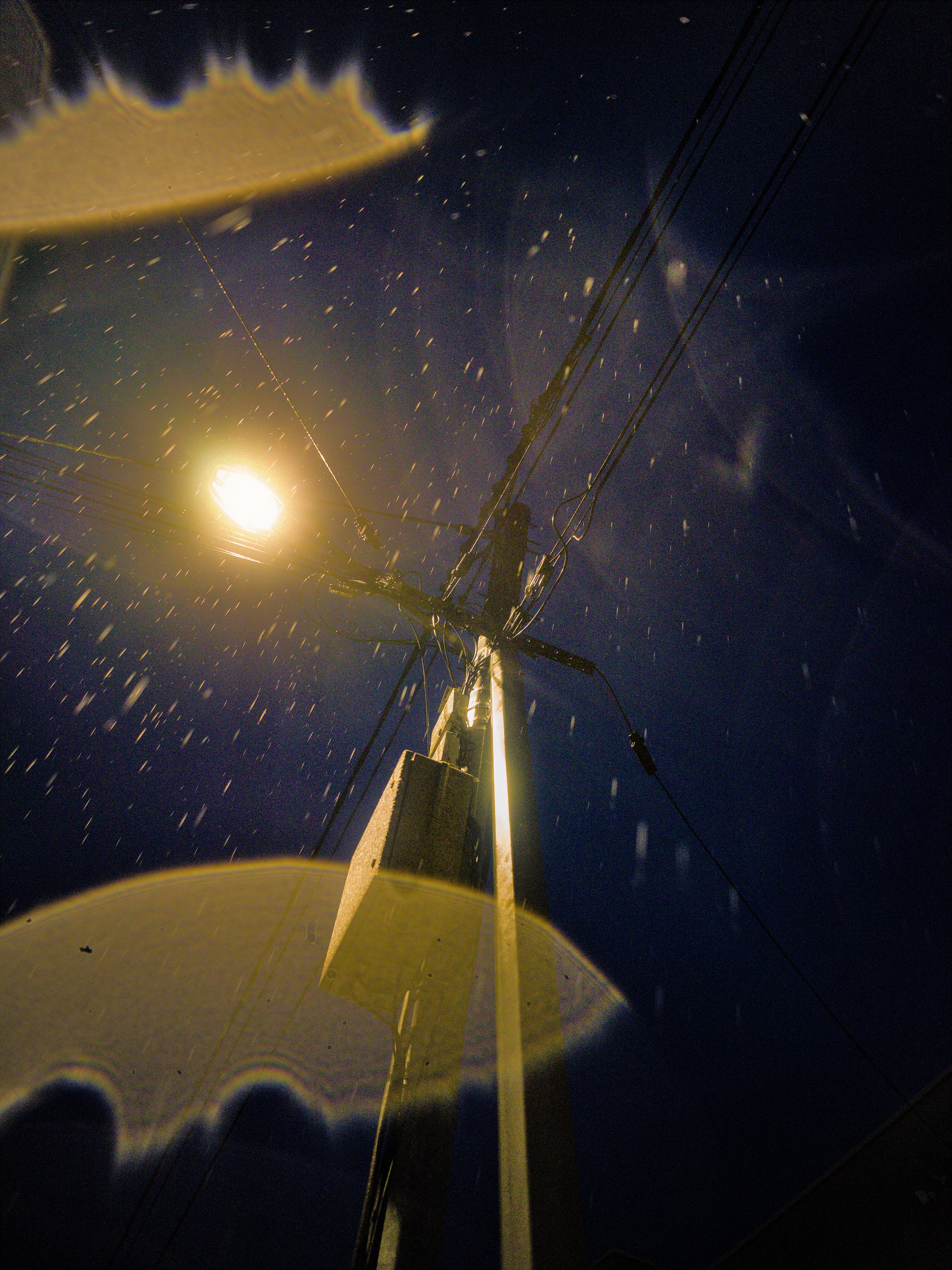 DSC02460_4-3.jpg